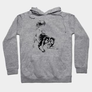 Border Collie Hoodie